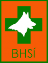 bhsi-logo-forsida